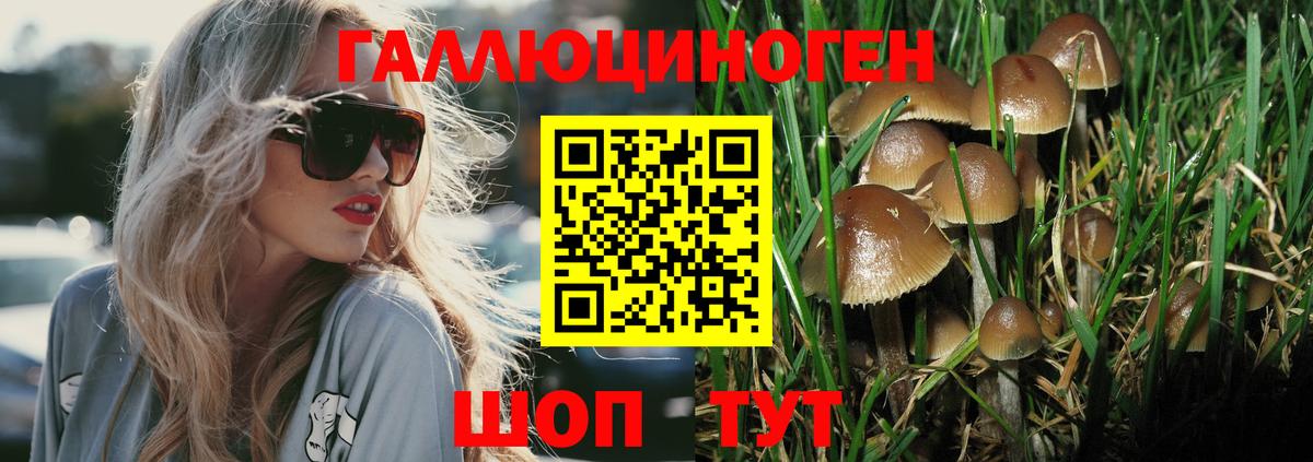 Псилоцибиновые грибы ЛСД Мирный