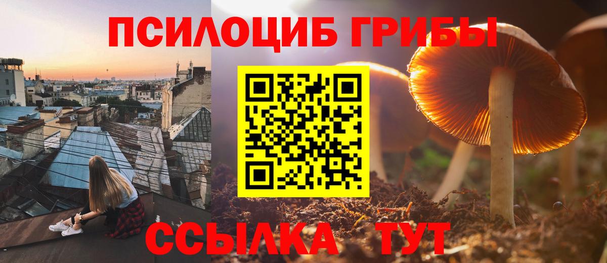 Мирный  Псилоцибиновые грибы мухоморы  Псилоцибиновые грибы ЛСД  Вход с VPN 